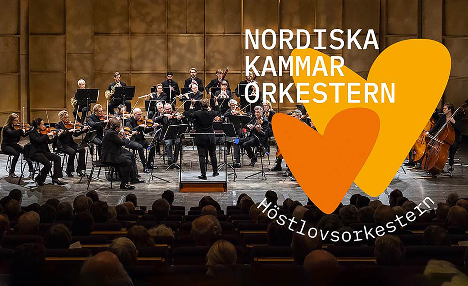 Nordiska Kammarorkestern blir symfoniorkester med ungdomar